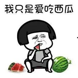 娱乐吃瓜酱考试,揭秘娱乐圈幕后真相